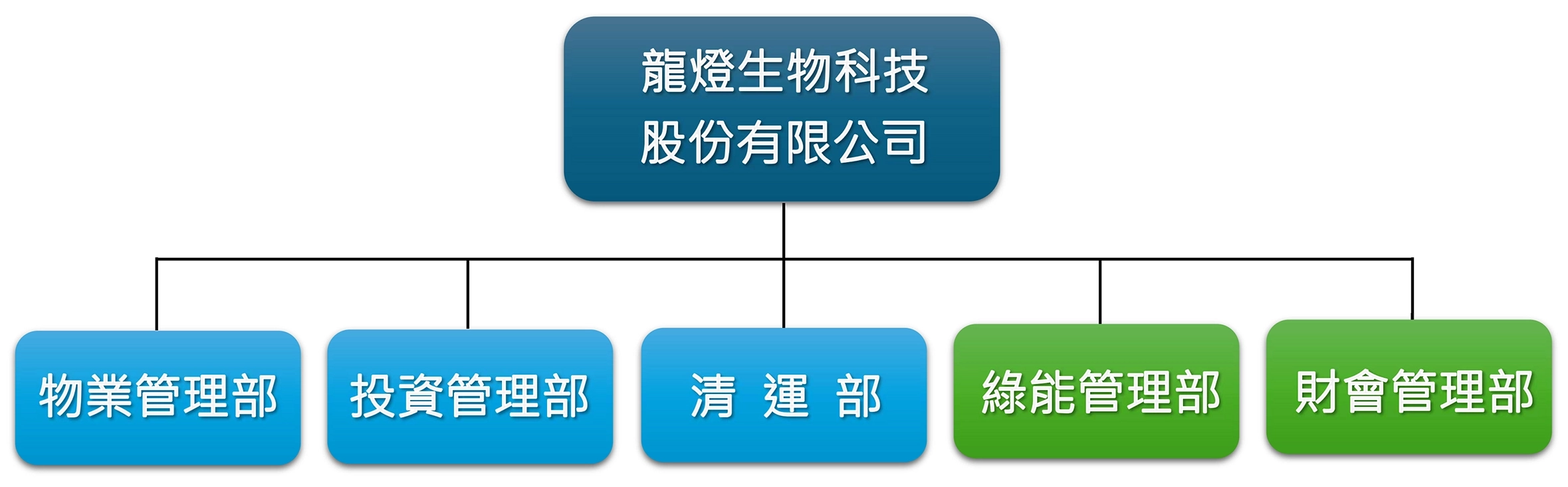 龍燈組織架構圖